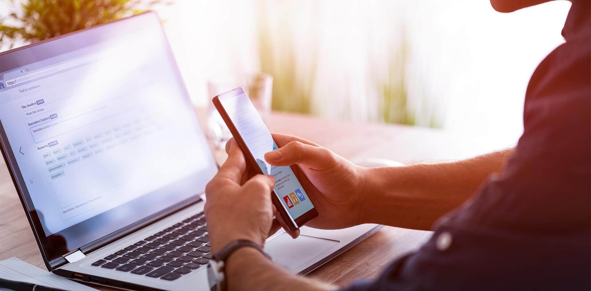<em>Web App</em> Vs. <em>Website</em>: Decoding the Difference